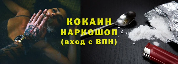 крисы Осинники