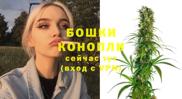 крисы Осинники