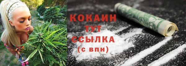 крисы Осинники