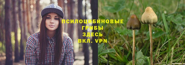 крисы Осинники